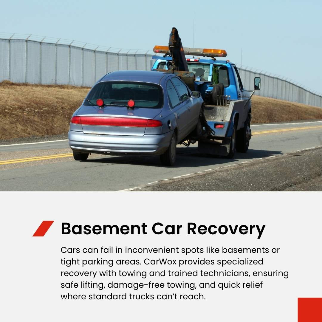 Customer Review (46)